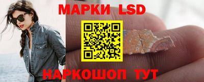 стаф Владимир