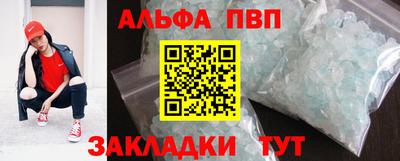 стаф Владимир